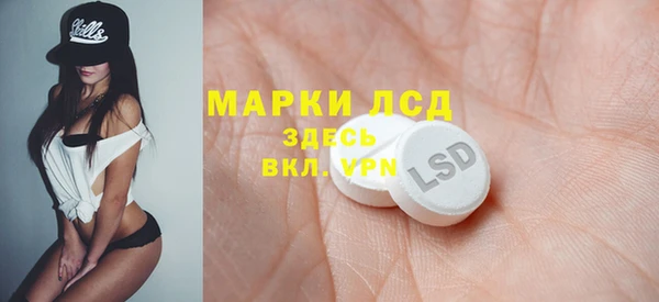 спайс Каменка