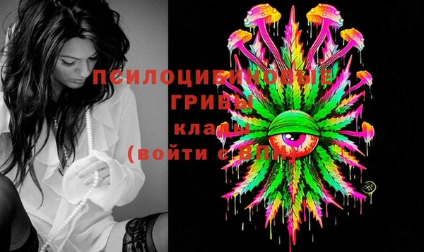 кокаин Каменногорск