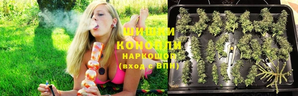 спайс Каменка