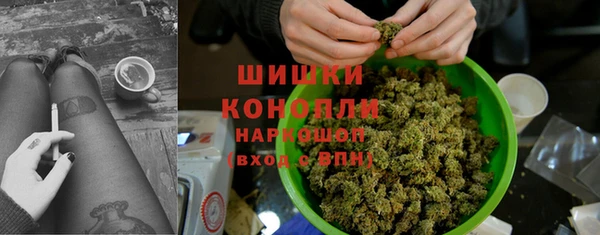 спайс Каменка