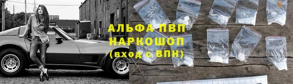 спайс Каменка