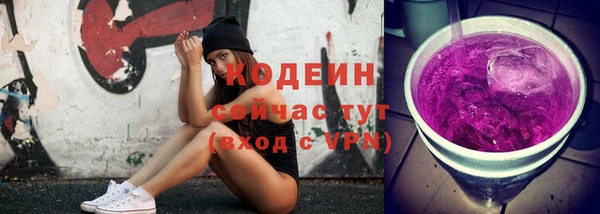 спайс Каменка
