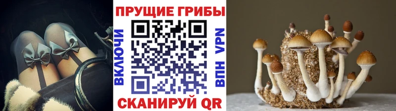 Купить  Адыгейск  Галлюциногенные грибы ЛСД 